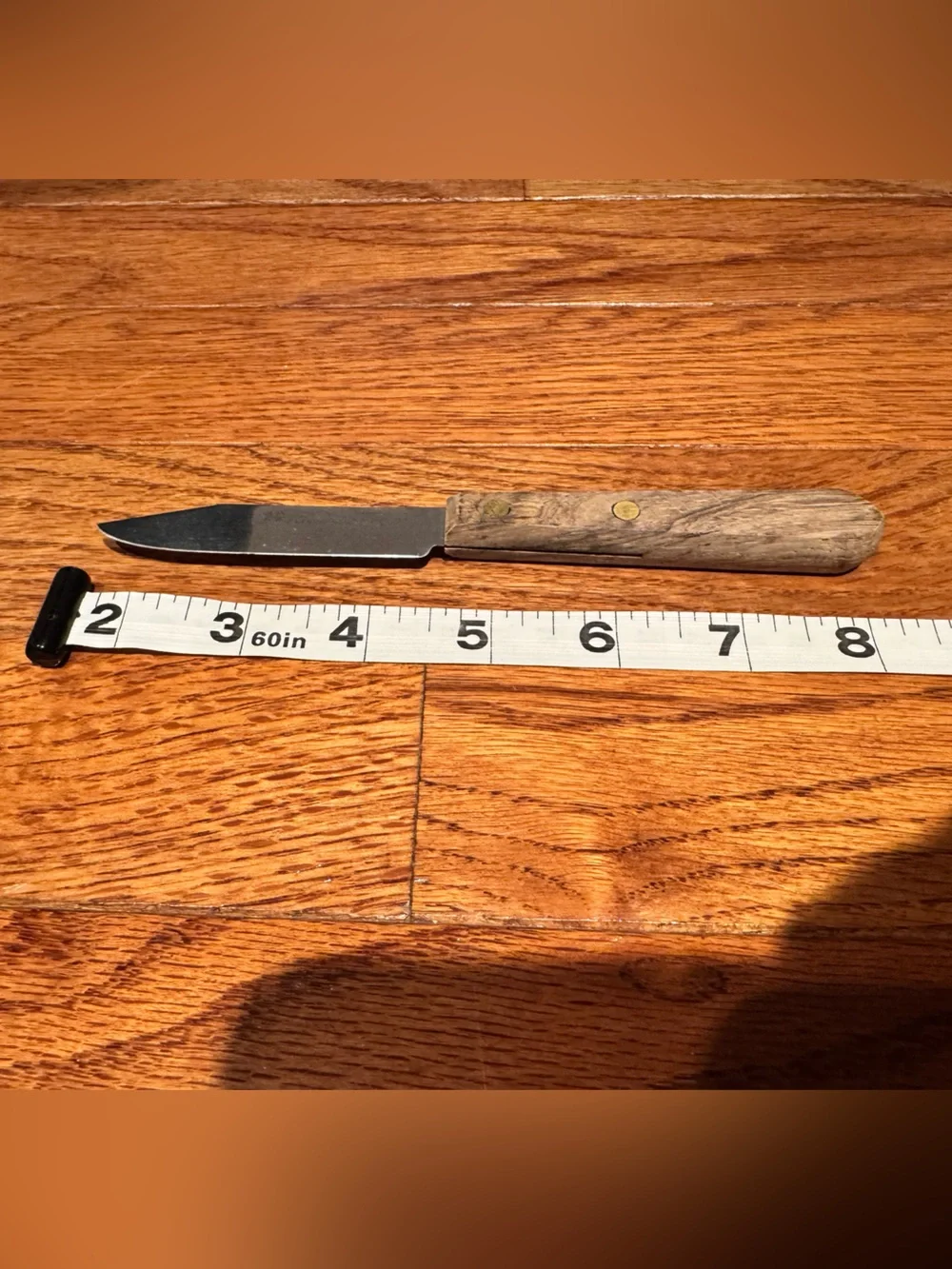 Vintage Geneva Forge Made in USA Steak and Paring Knife With Wooden Handle